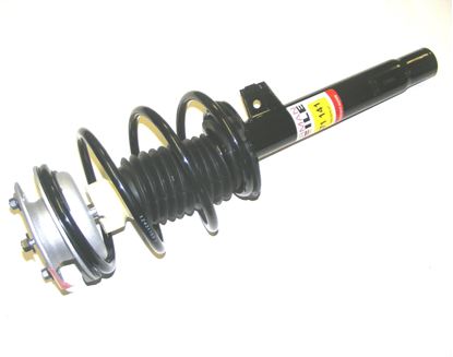 Picture of front strut assembly,320,323,325,328,330i
